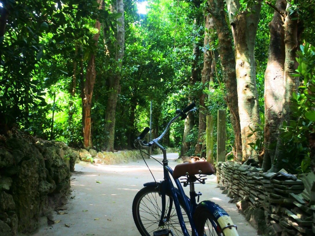 Namiki Rent-a-cycle-本部町必去景点