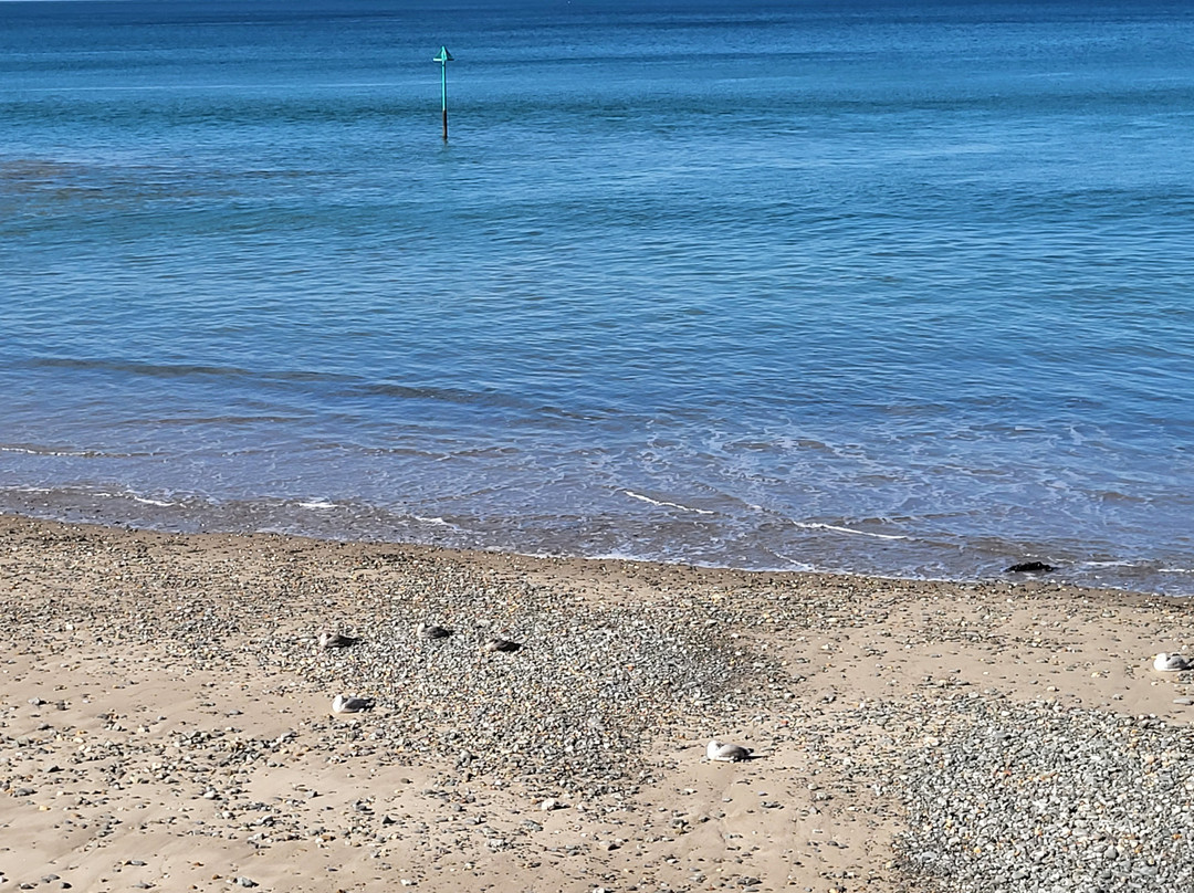 Tywyn Beach景点图片