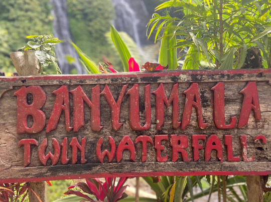 Bali Local Host-水明漾必去景点