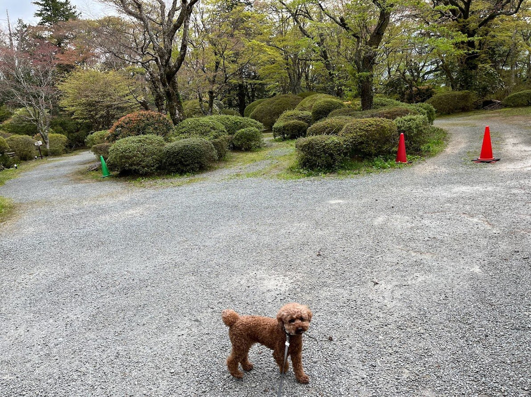 Hakone Kowakien Horai Garden景点图片