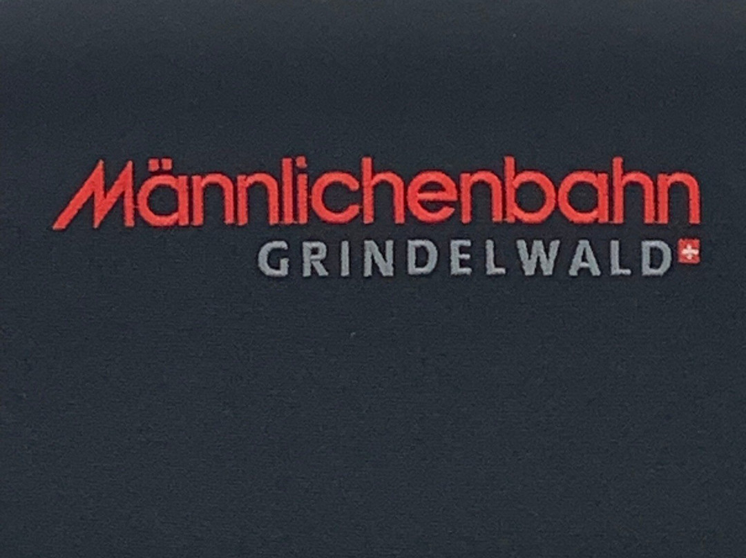 Gondelbahn Grindelwald-Männlichen景点图片