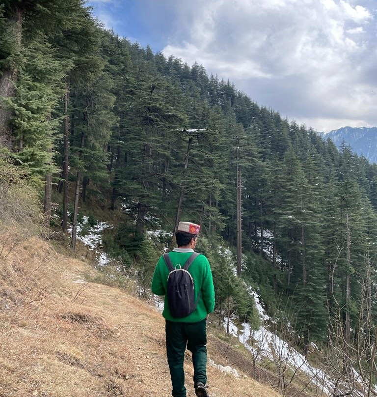 Maple Outhomes主图