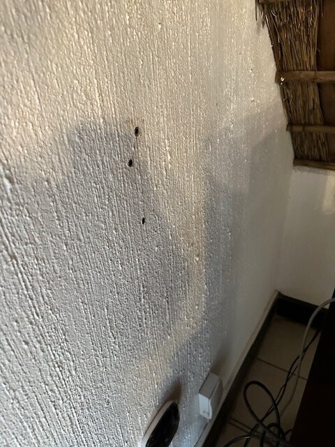 Pestana Kruger Lodge主图