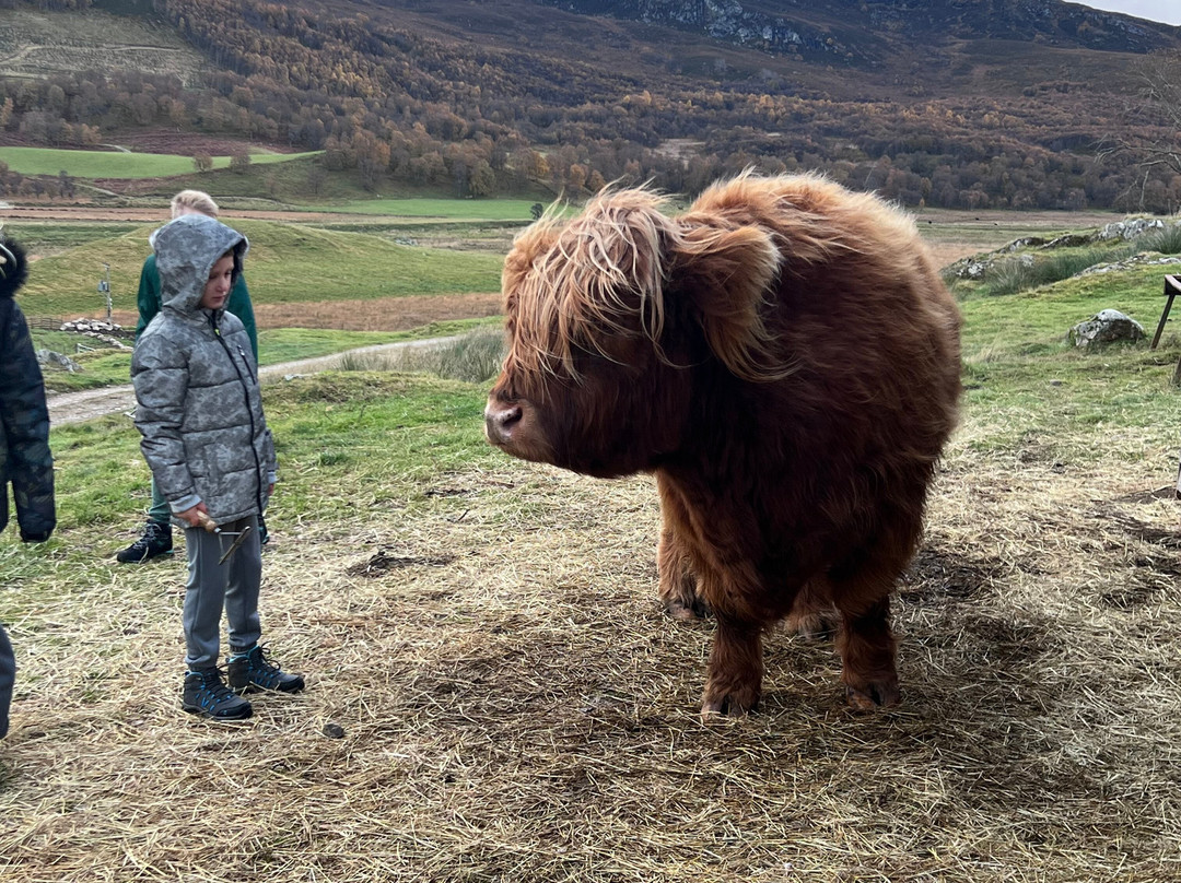 Spey River Farm-Newtonmore必去景点