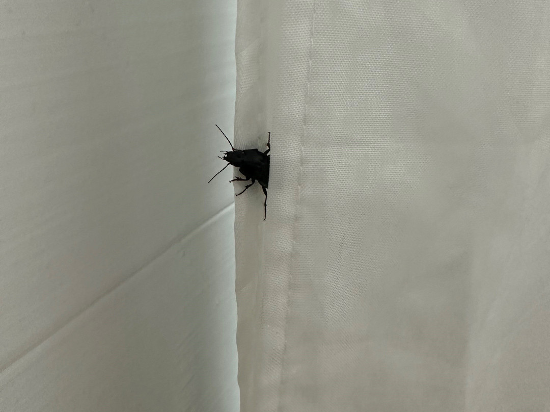 Holiday Inn Express & Suites Moody - Leeds By IHG主图