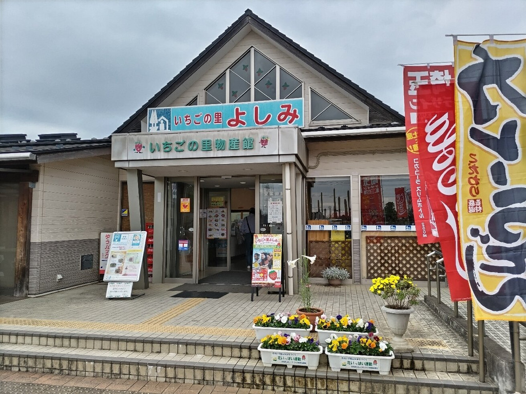 Michi-no-Eki Ichigo no Sato Yoshimi-吉见町必去景点