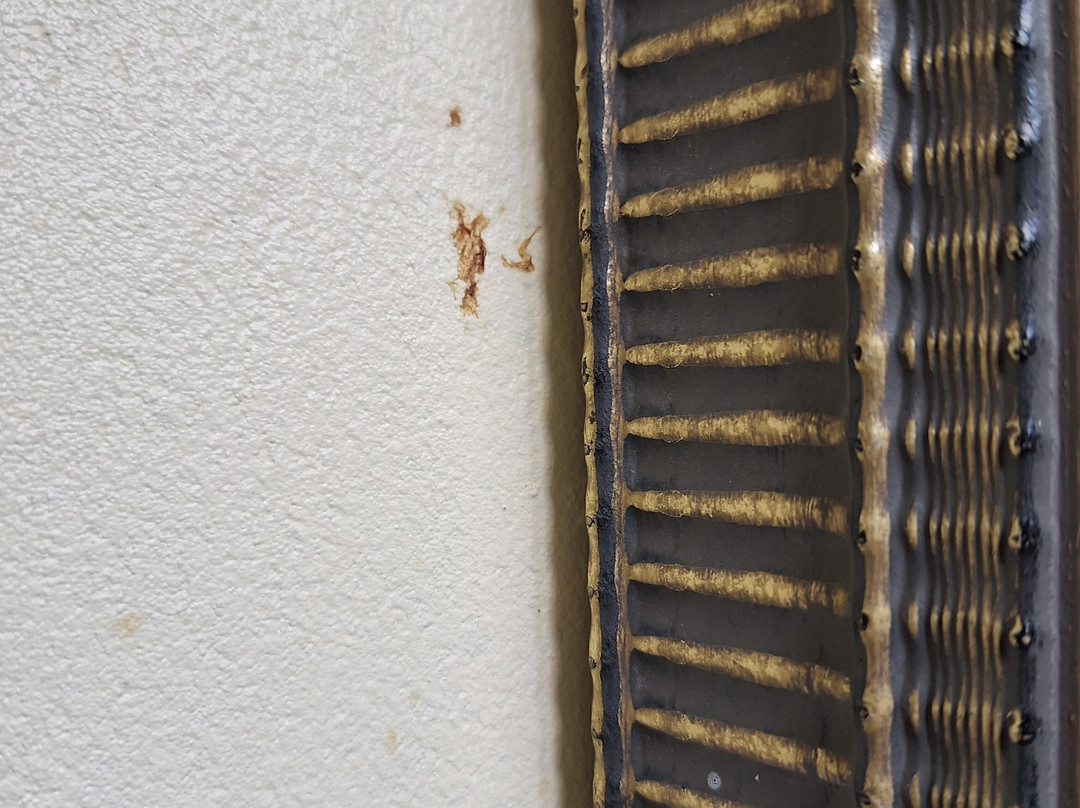 Days Inn by Wyndham Fort Payne主图