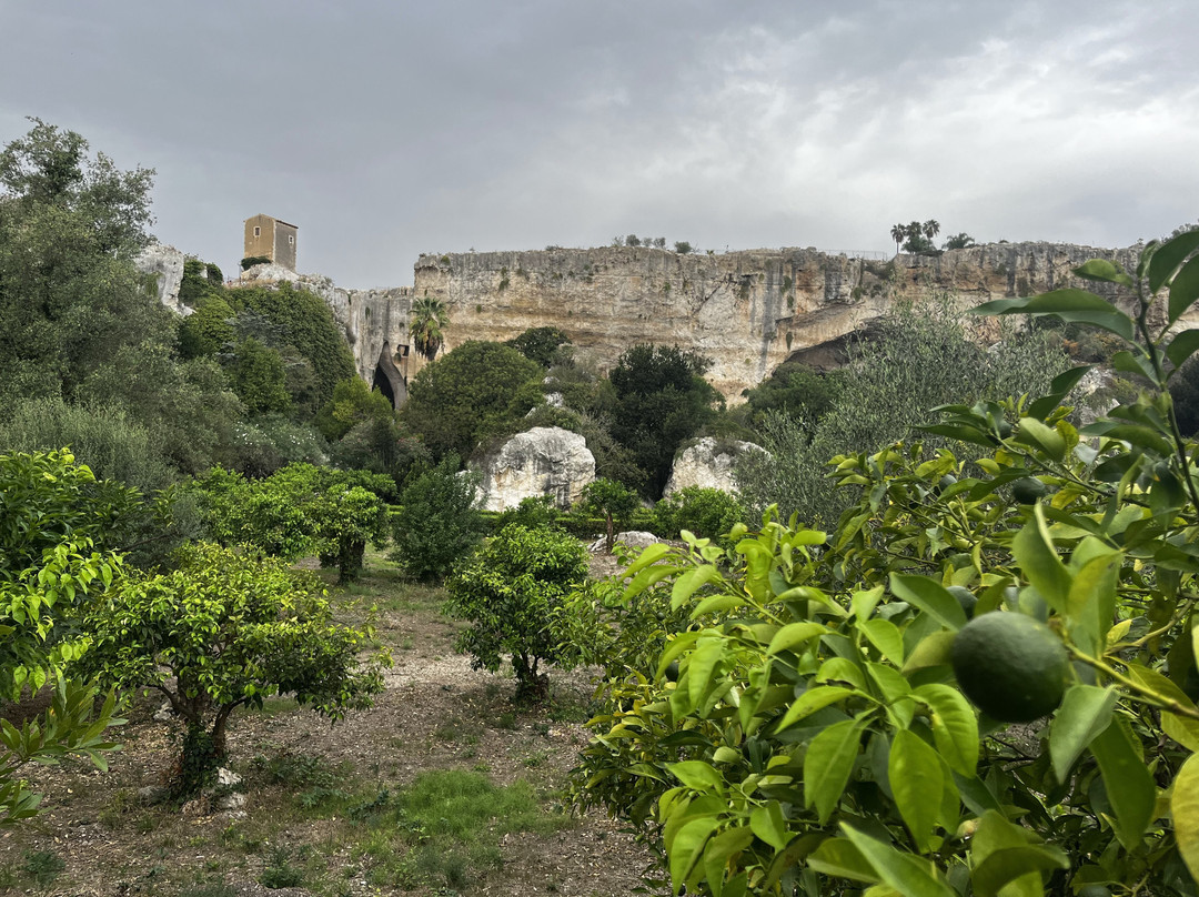 Parco Archeologico della Neapolis景点图片