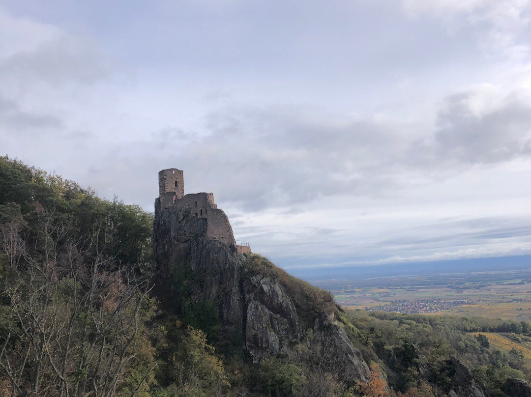 Randonnée des 3 châteaux de Ribeauvillé-里博维尔必去景点