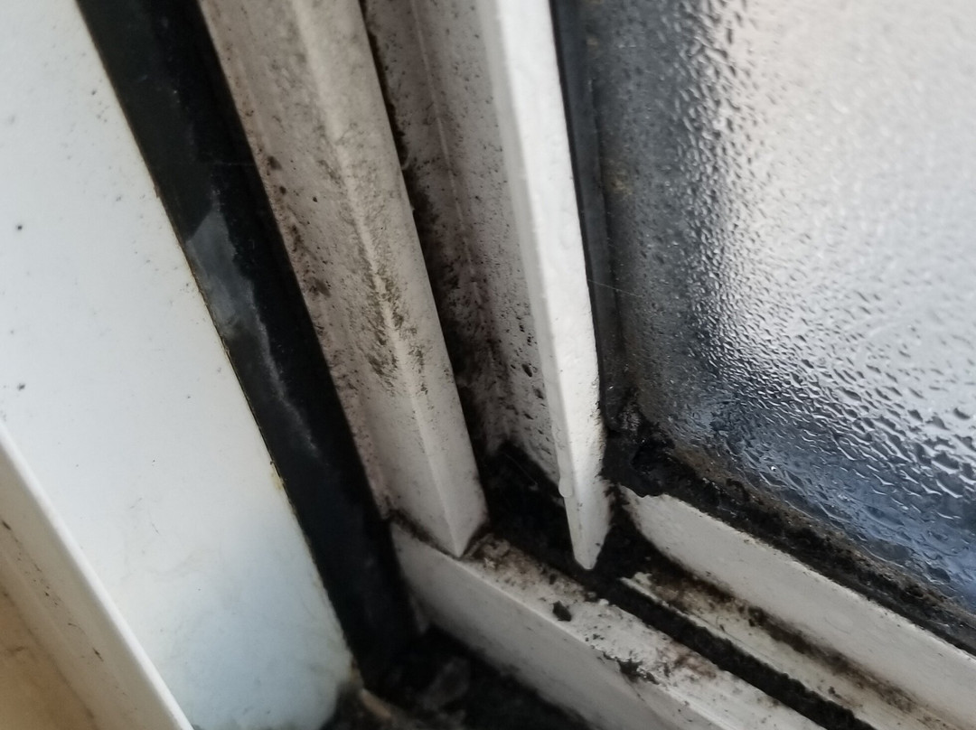 Days Inn by Wyndham Evansdale Waterloo主图