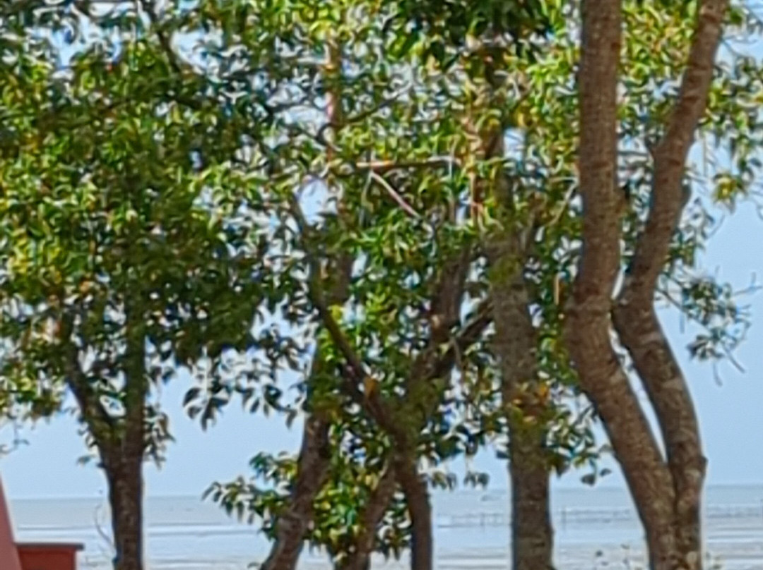 海岛别墅度假村主图