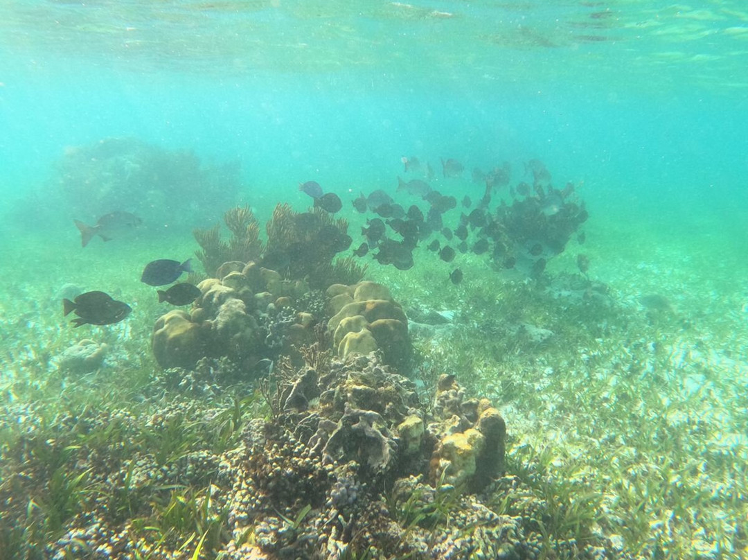 Atma-Ha Tours-从莫雷洛斯港必去景点