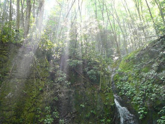 Backbone Rock Waterfall景点图片
