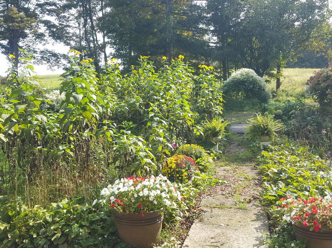 Bitter Sweet Bed & Breakfast主图