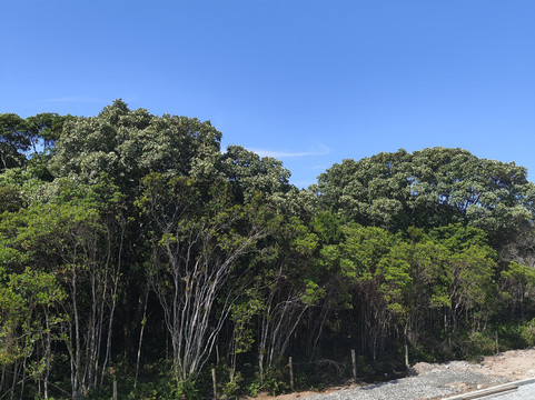 Pousada na Lagoa da Conceicao主图