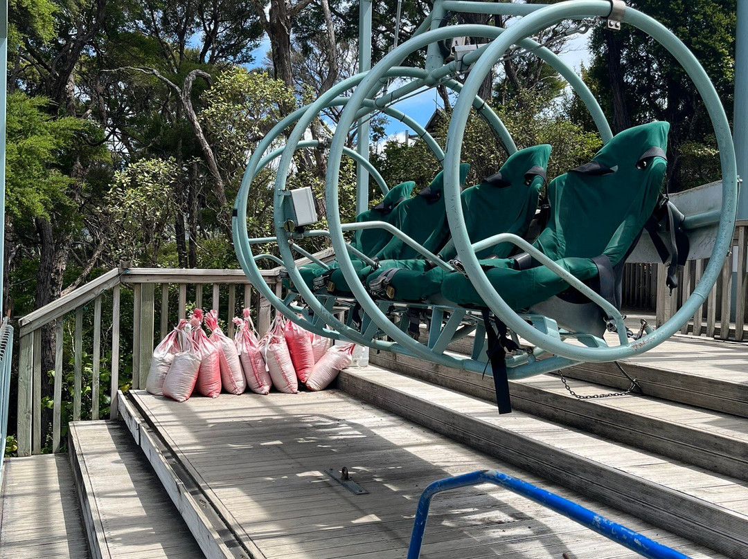 Cable Bay Adventure Park-尼尔森必去景点