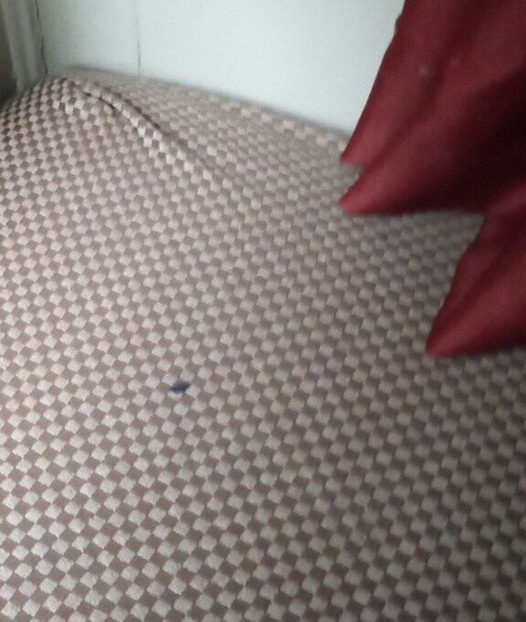 Microtel Inn & Suites by Wyndham Columbia/Fort Jackson N主图