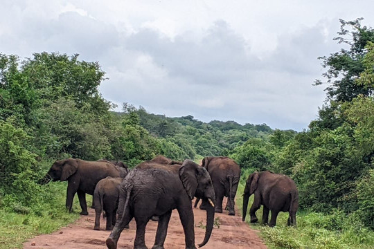 Afri Safaris-吉佳利必去景点
