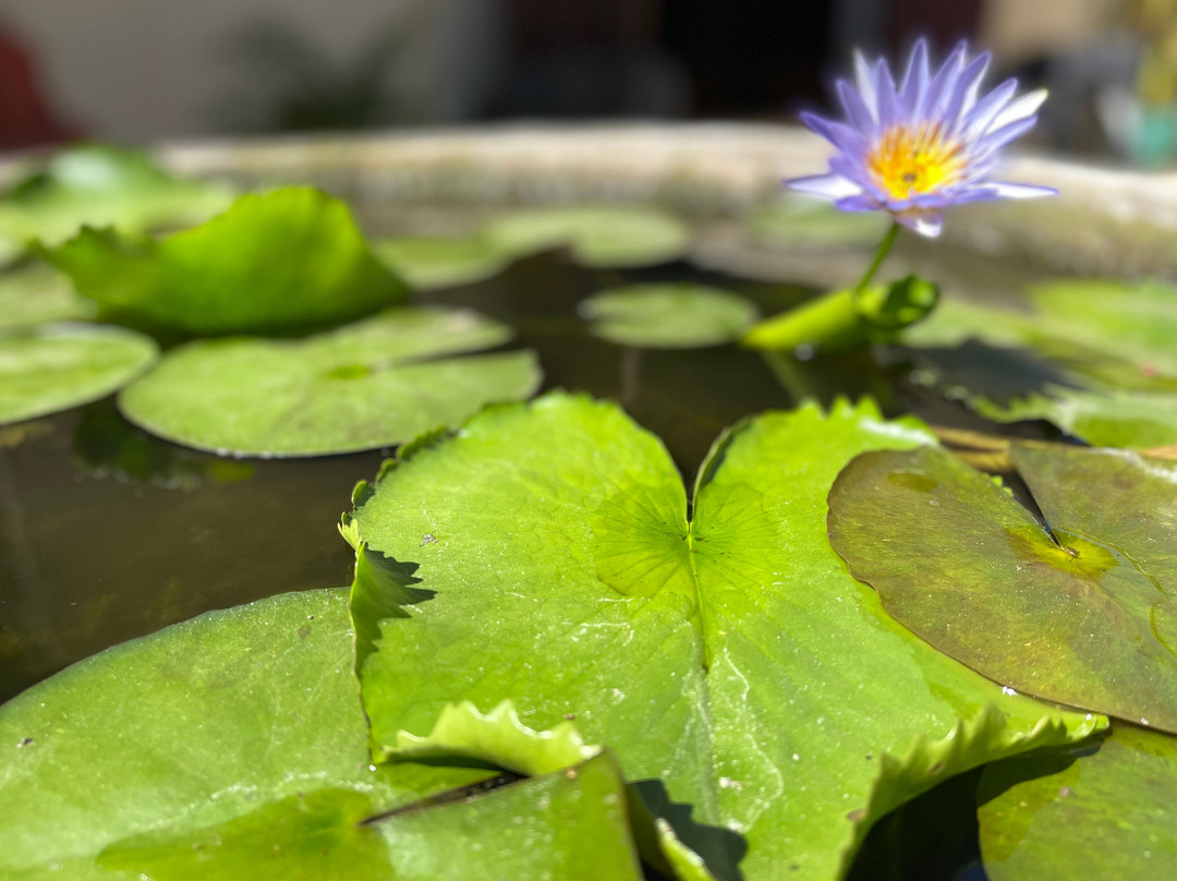 About Travel & Tours Cambodia-金边必去景点