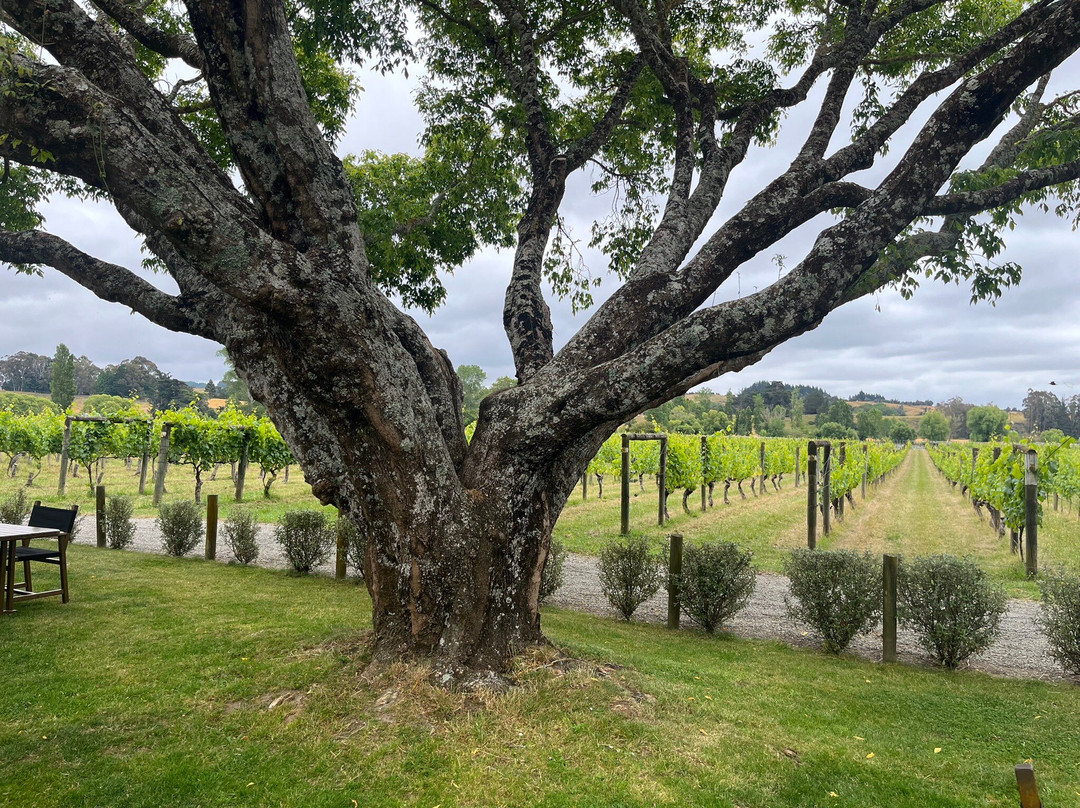 Neudorf Vineyards景点图片