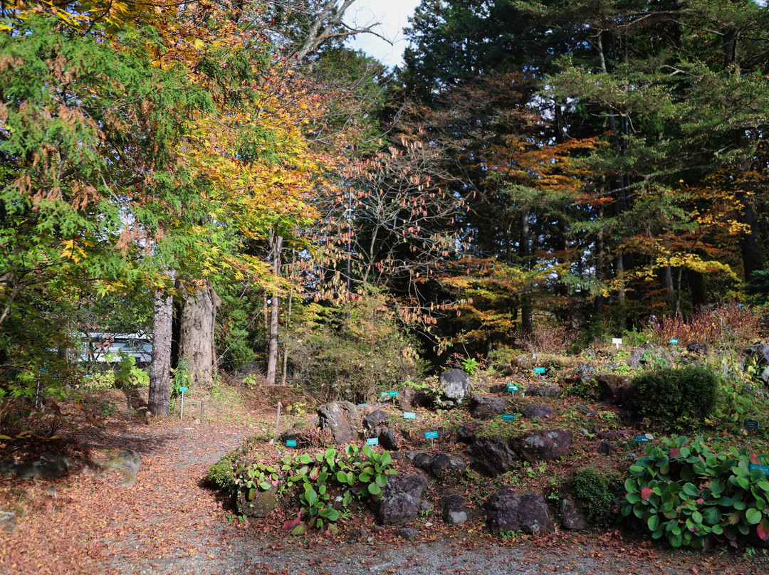 Nikko Botanical Garden-日光市必去景点