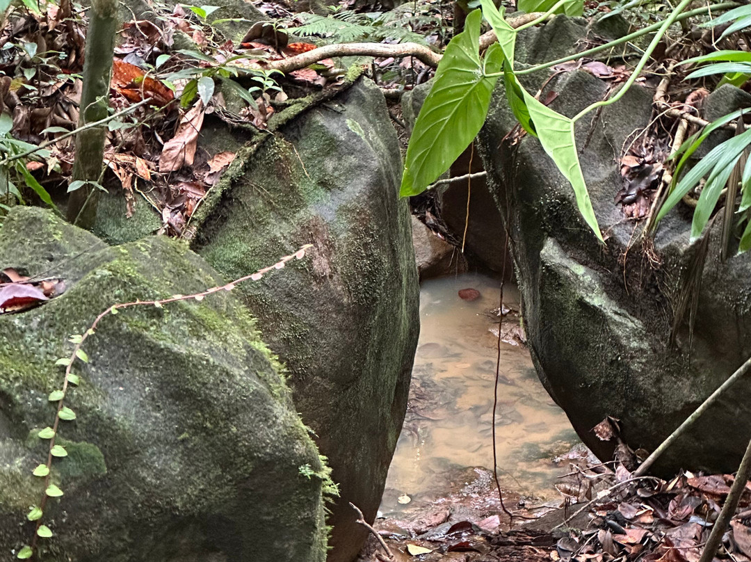 Saut des Trois Cornes-Sainte Rose必去景点
