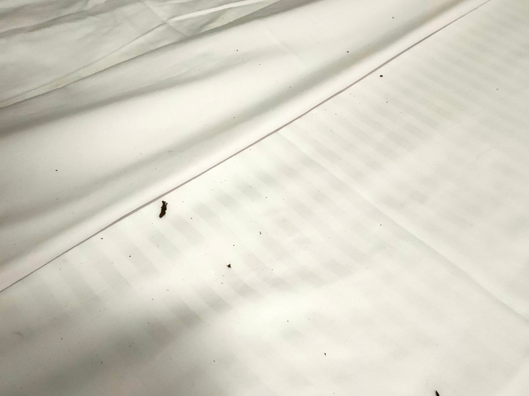 亨利物浦舒适酒店主图