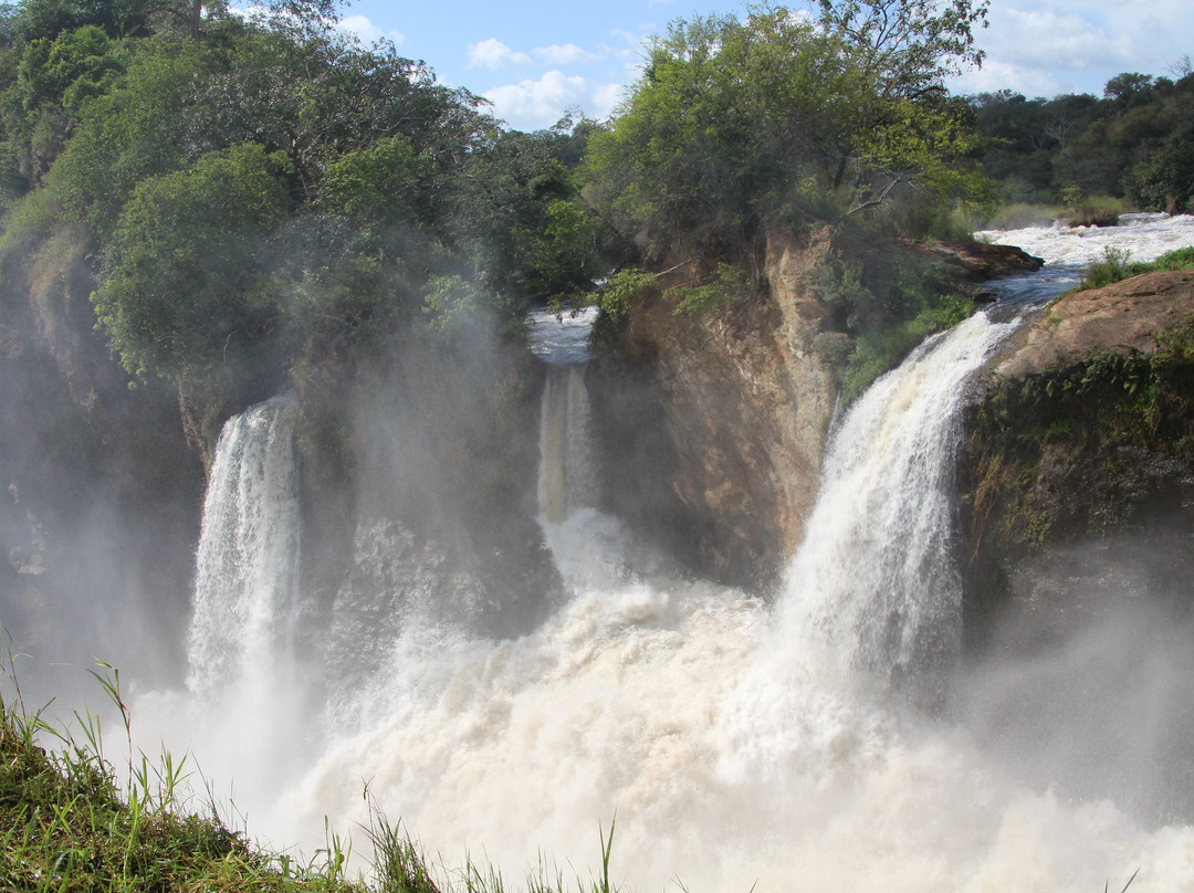 Gorilla Riddles-坎帕拉必去景点