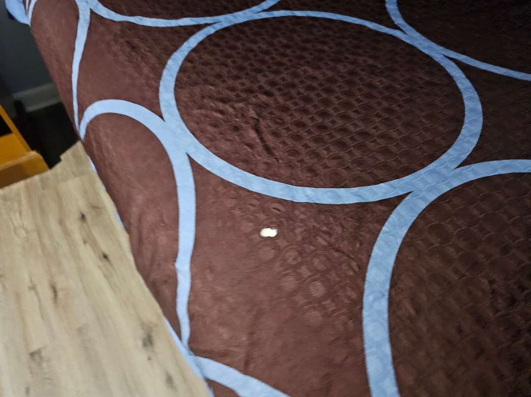 Super 8 by Wyndham Covington主图