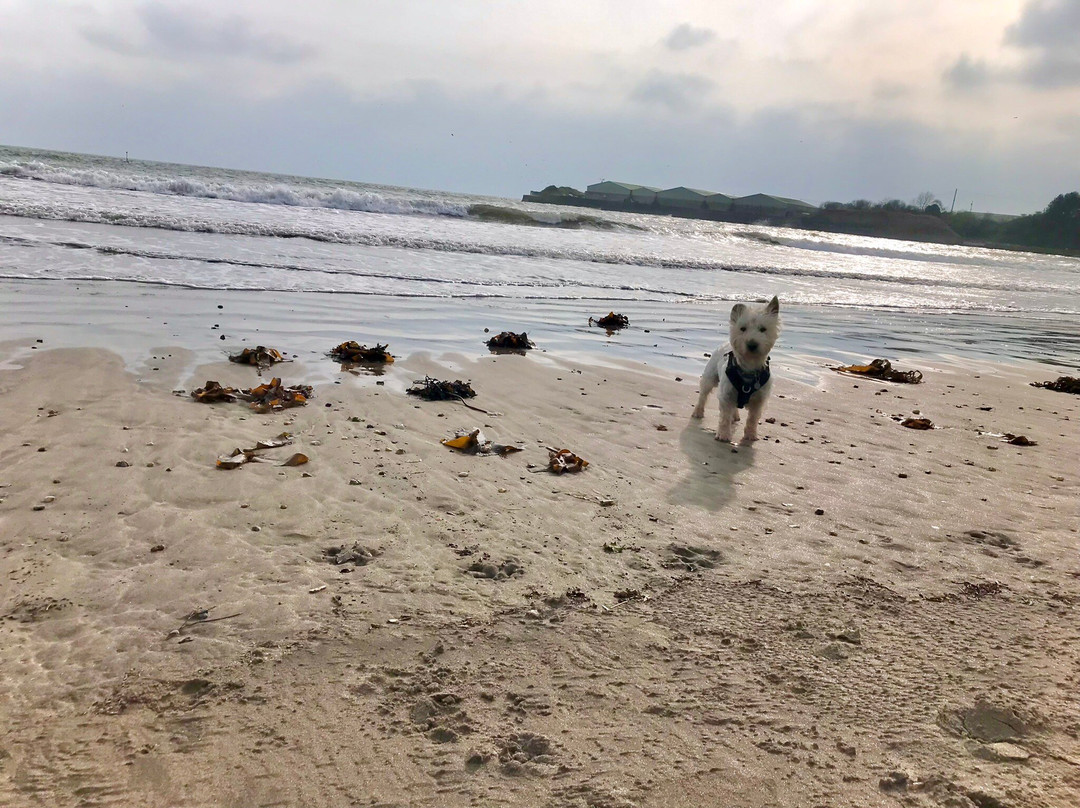 Par Sands Beach-Par必去景点