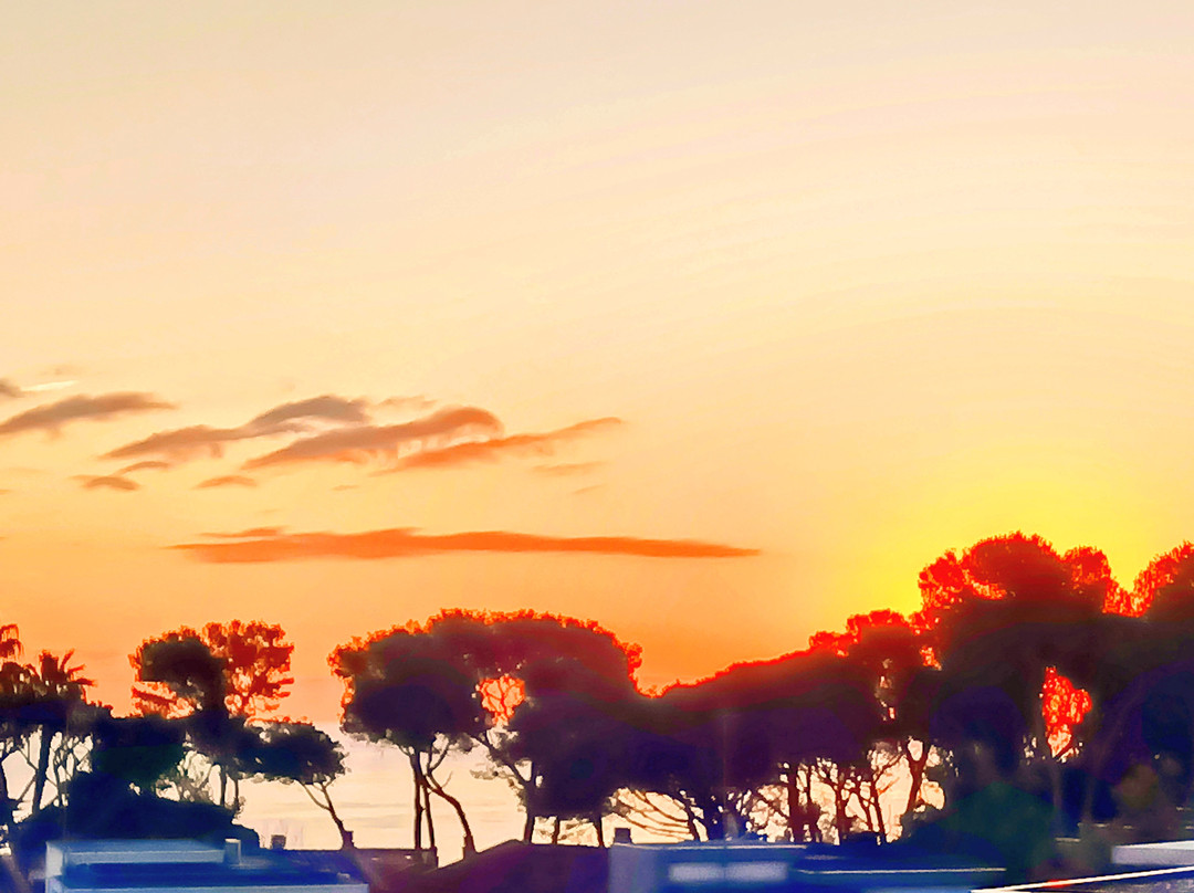 安科拉酒店主图