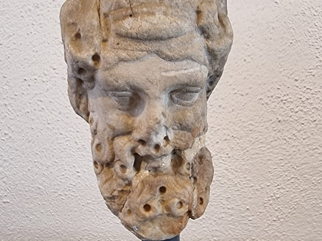 Civic Museum (Museo Civico di Padova)-帕多瓦必去景点