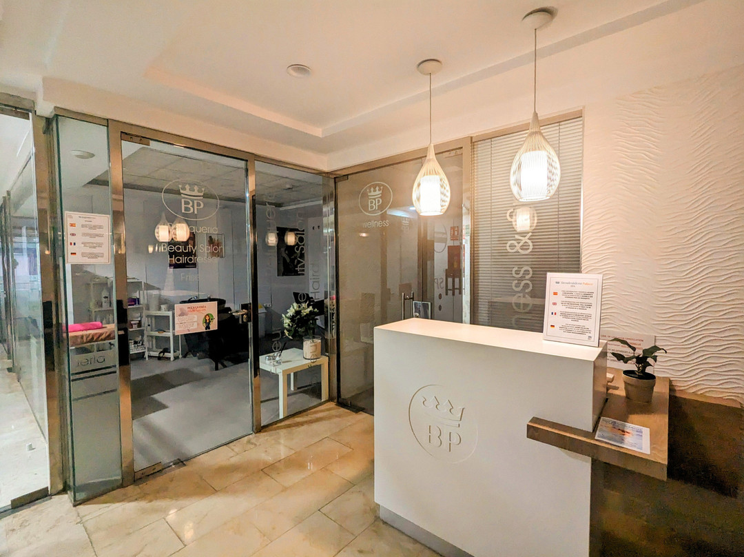 Hotel SPA Benalmádena Palace主图