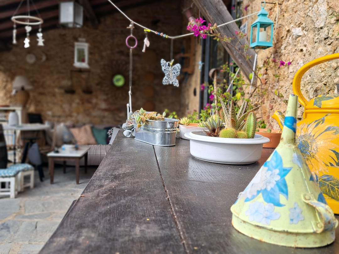 Guest House Antico Frantoio Pietrasanta主图