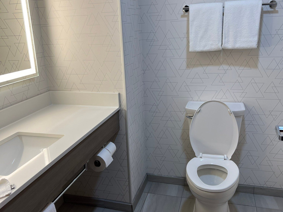 弗里波特快捷假日&套房酒店主图