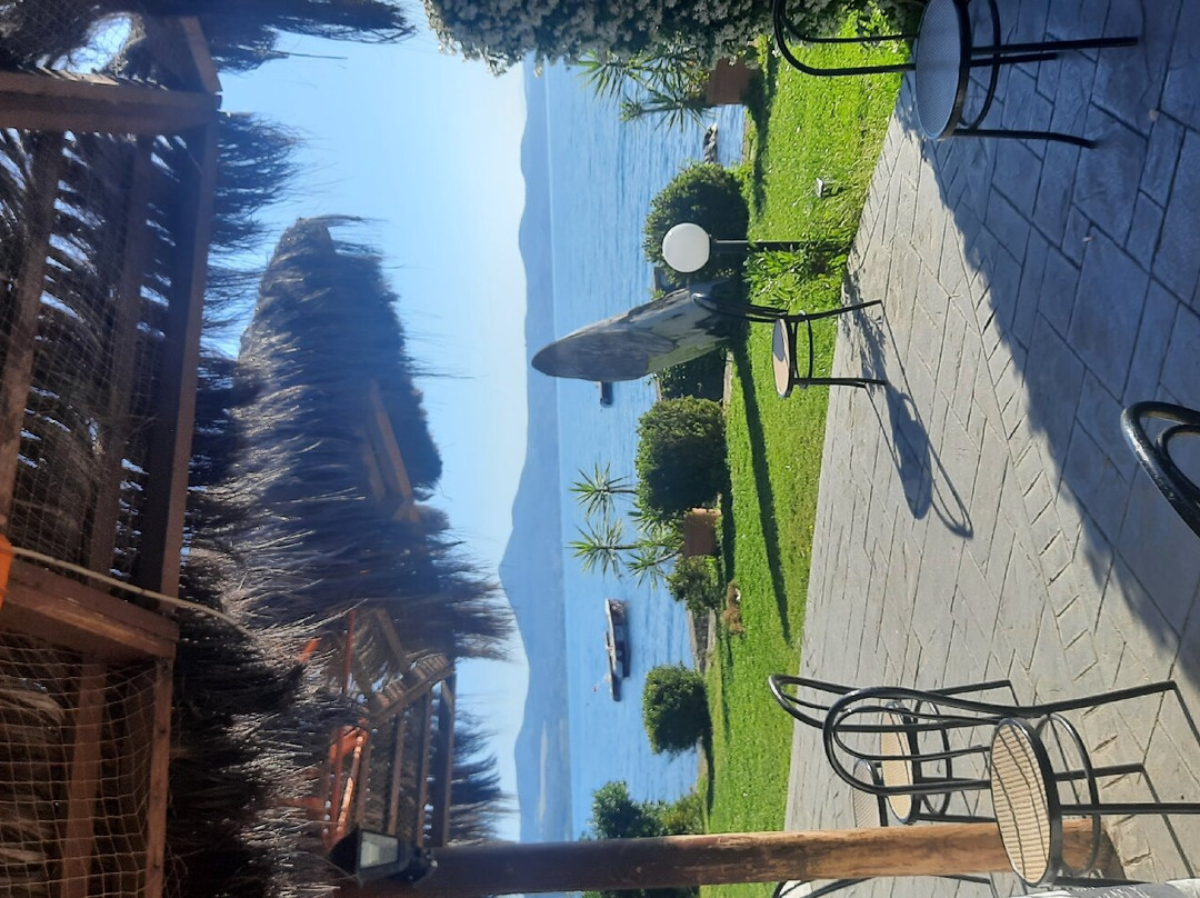 Albergo Ristorante Alfredo da Persichella 1960主图