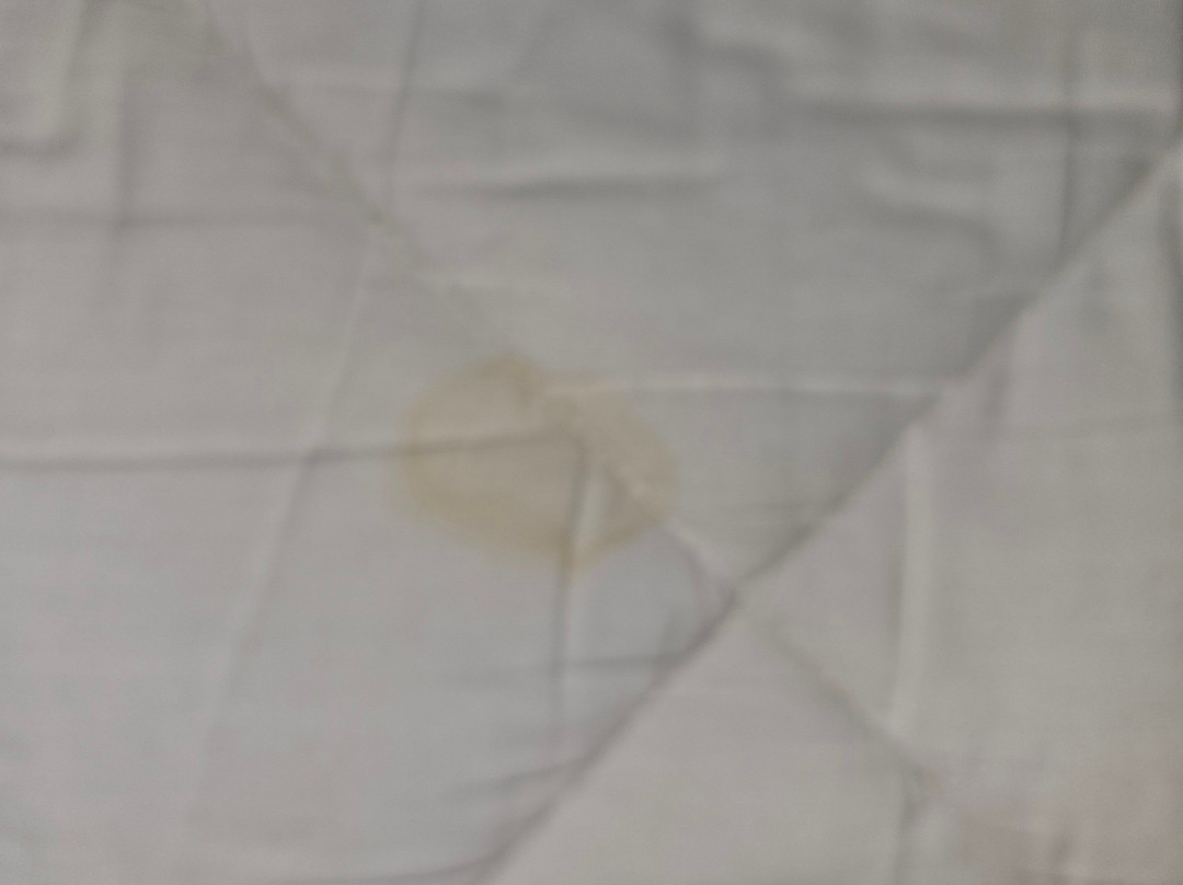 Days Inn by Wyndham Cornelia主图