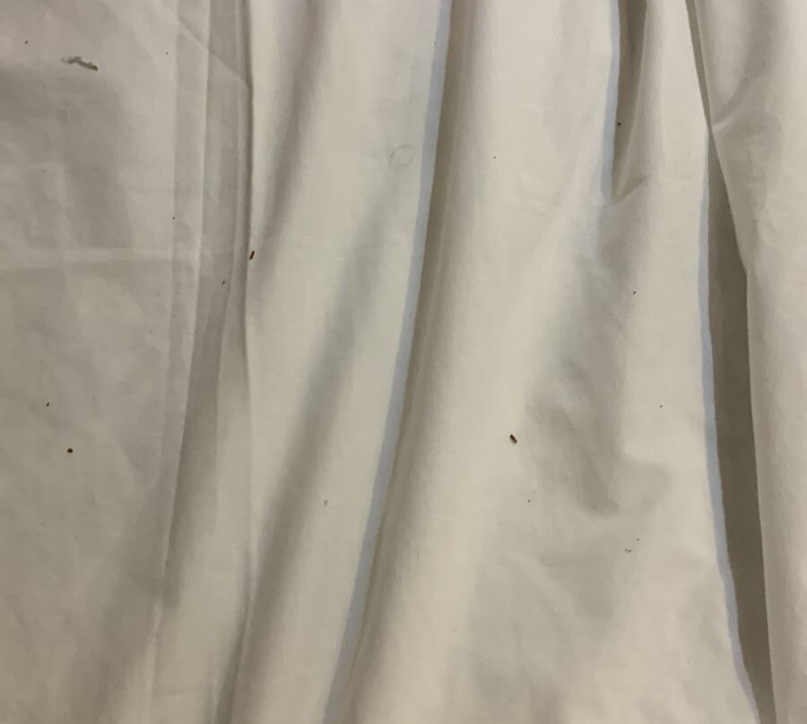 Alexander The Great Hotel主图