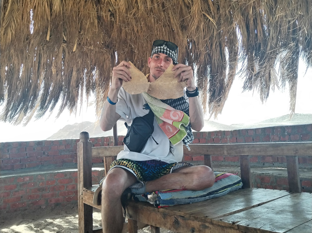 Scorpion Safari-赫尔格达必去景点