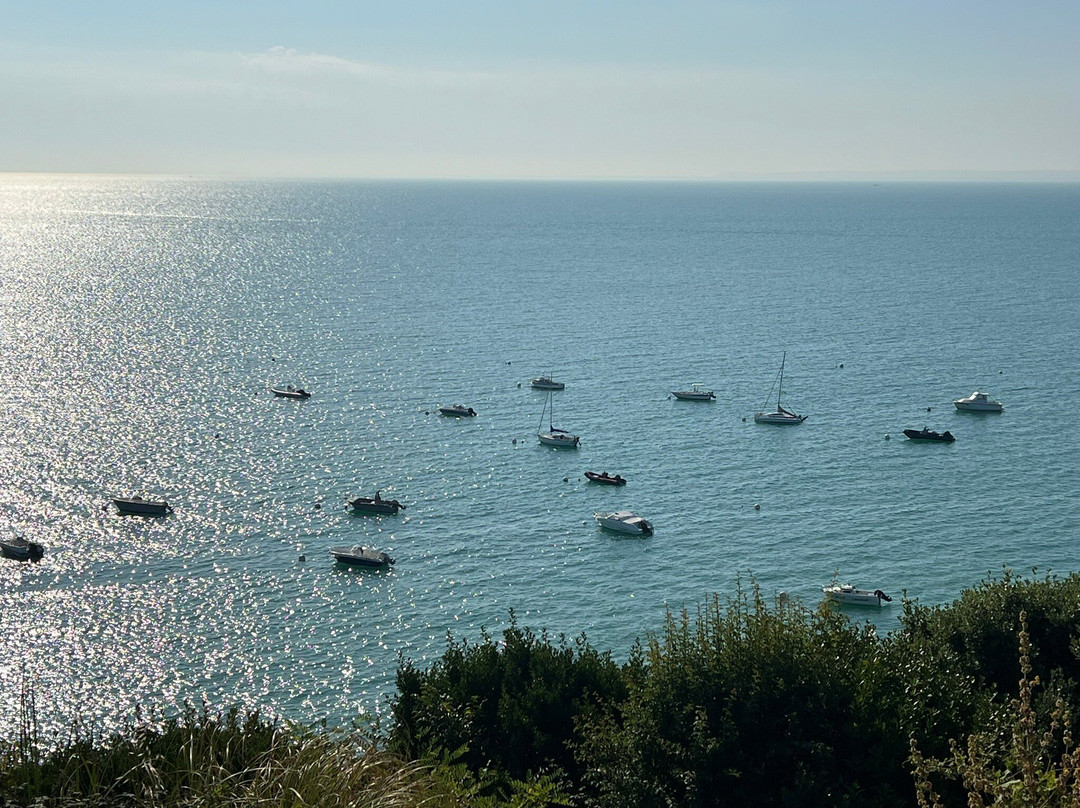 杜厄特·福伦里斯乡间别墅酒店主图