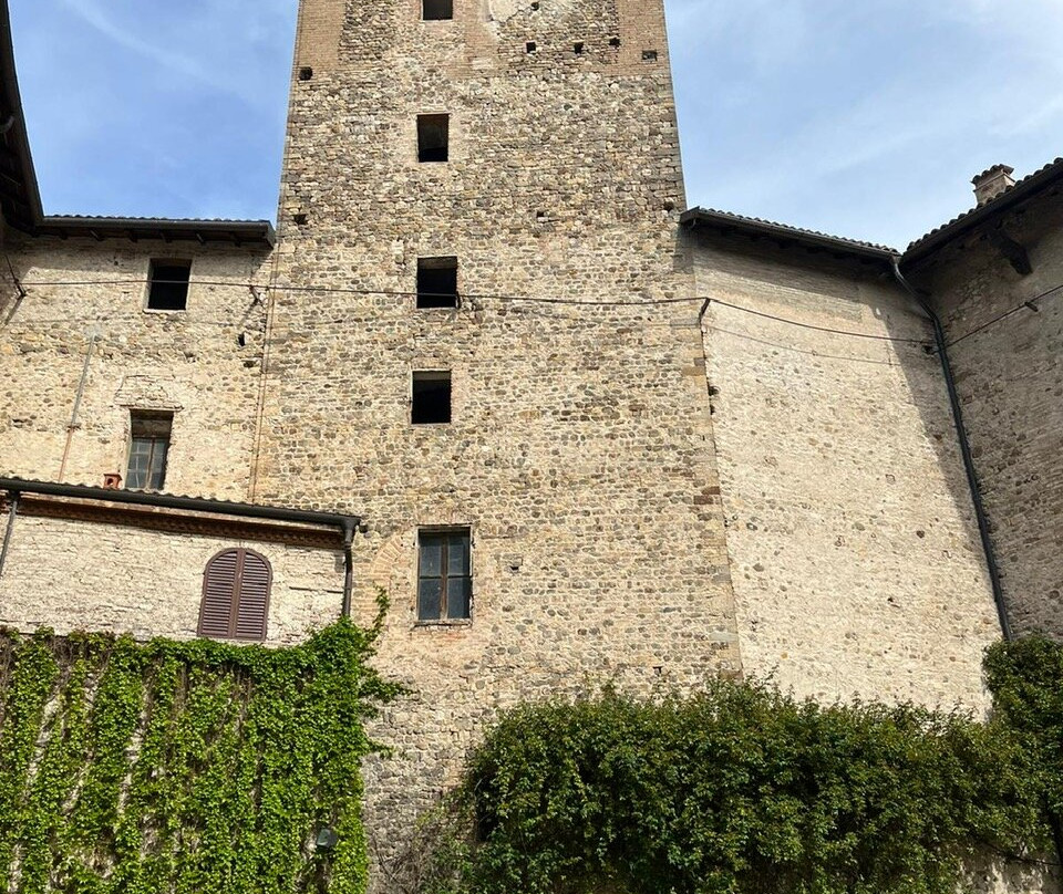 Castello di Montechiarugolo景点图片