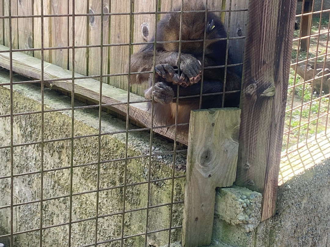 Bouillon Wildlife Park-布容必去景点
