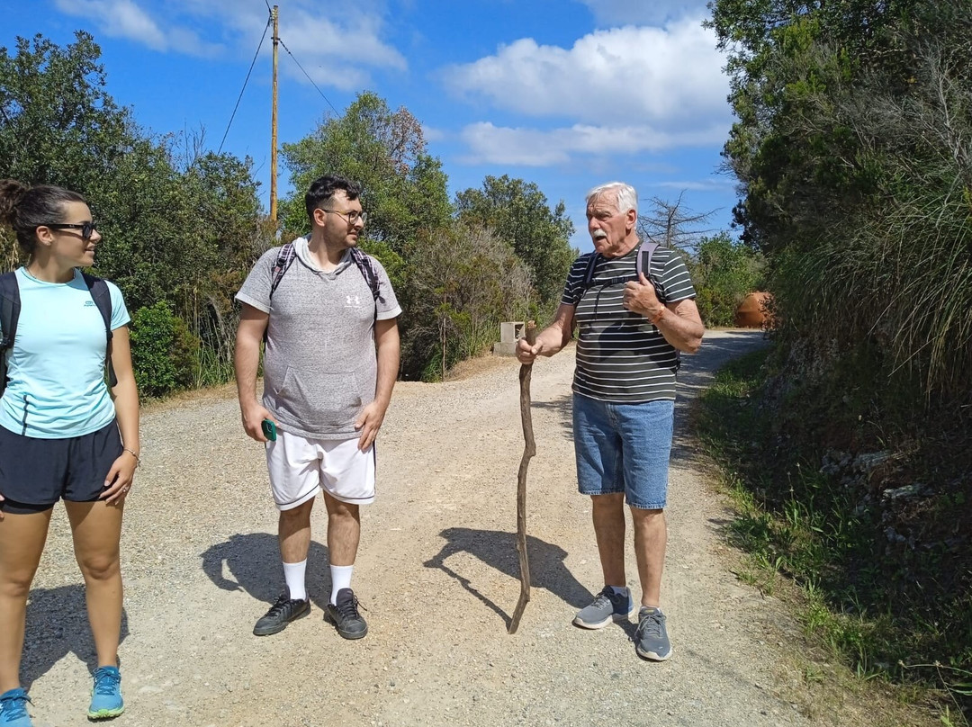 TH 奥尔塔诺 - 奥尔塔诺玛雷村庄酒店主图