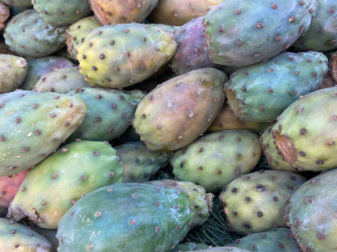 Morocco Itinerary Tours-非斯必去景点