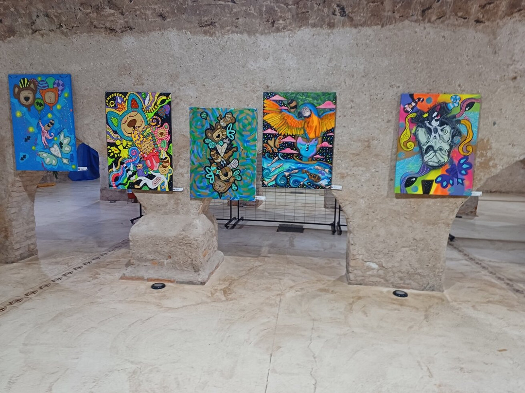 Museu Do Morro Da Caixa D'água Velha景点图片