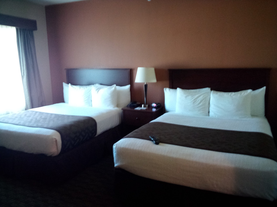 Best Western North Edge Inn主图