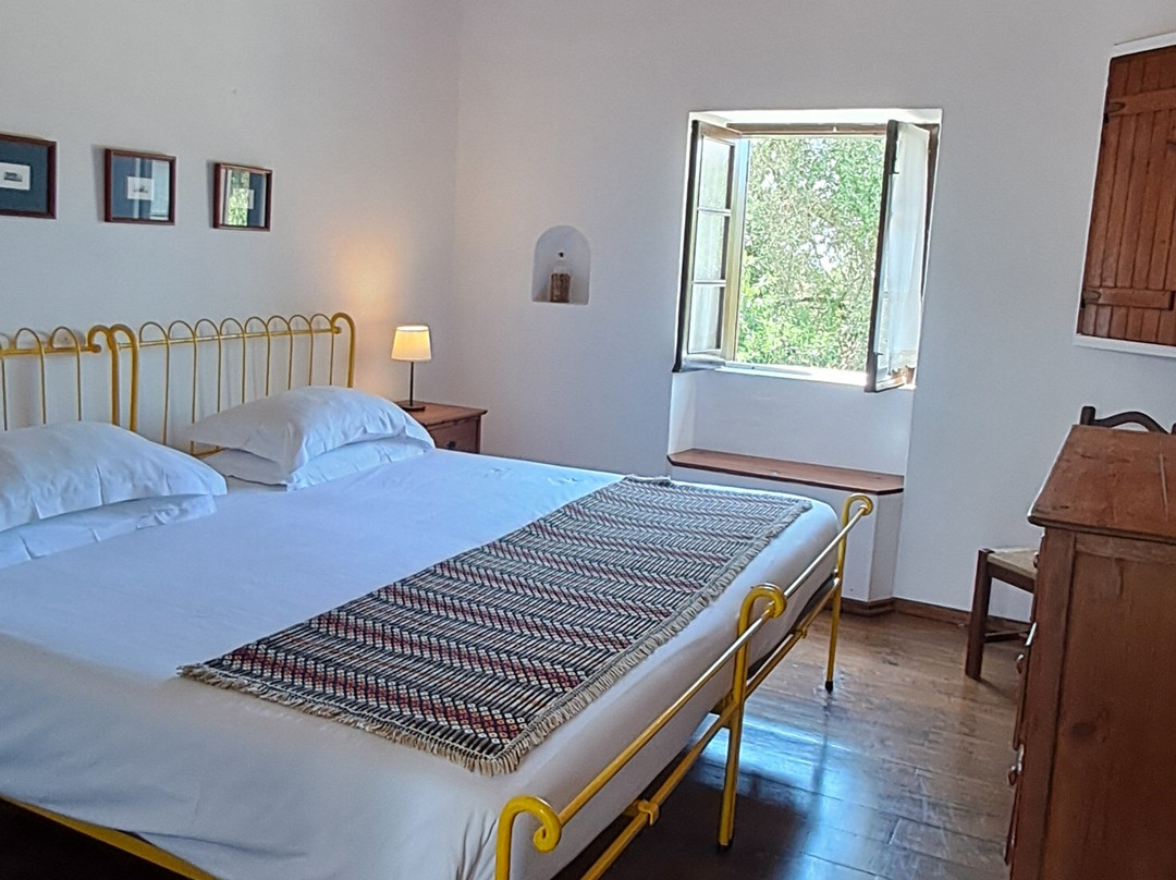 Monte do Papa Léguas主图