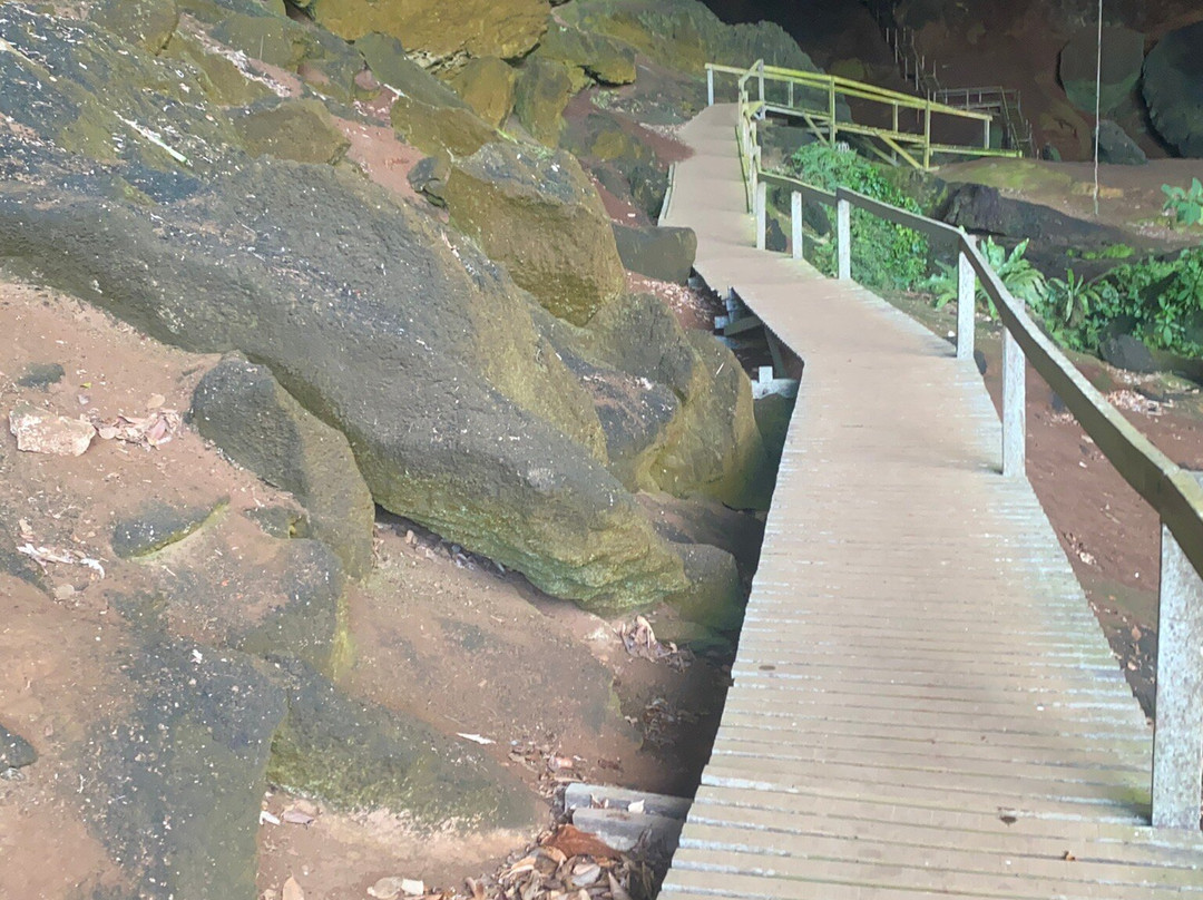 Gua Niah-美里必去景点