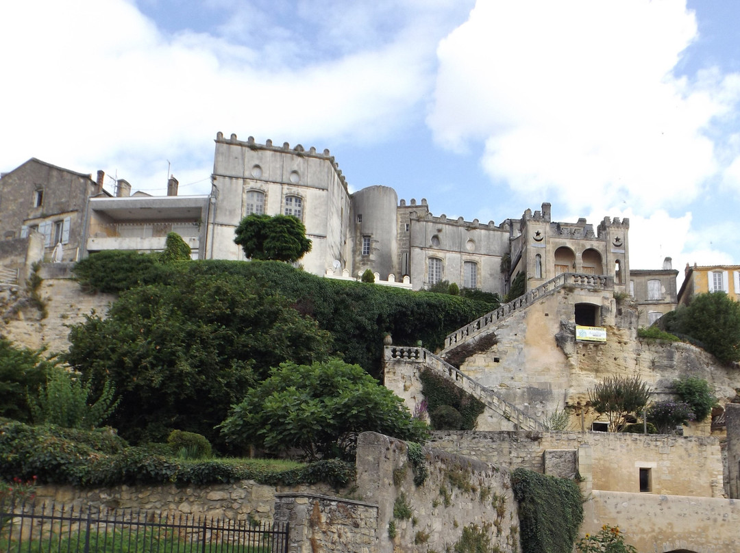 Citadelle de Bourg sur Gironde景点图片