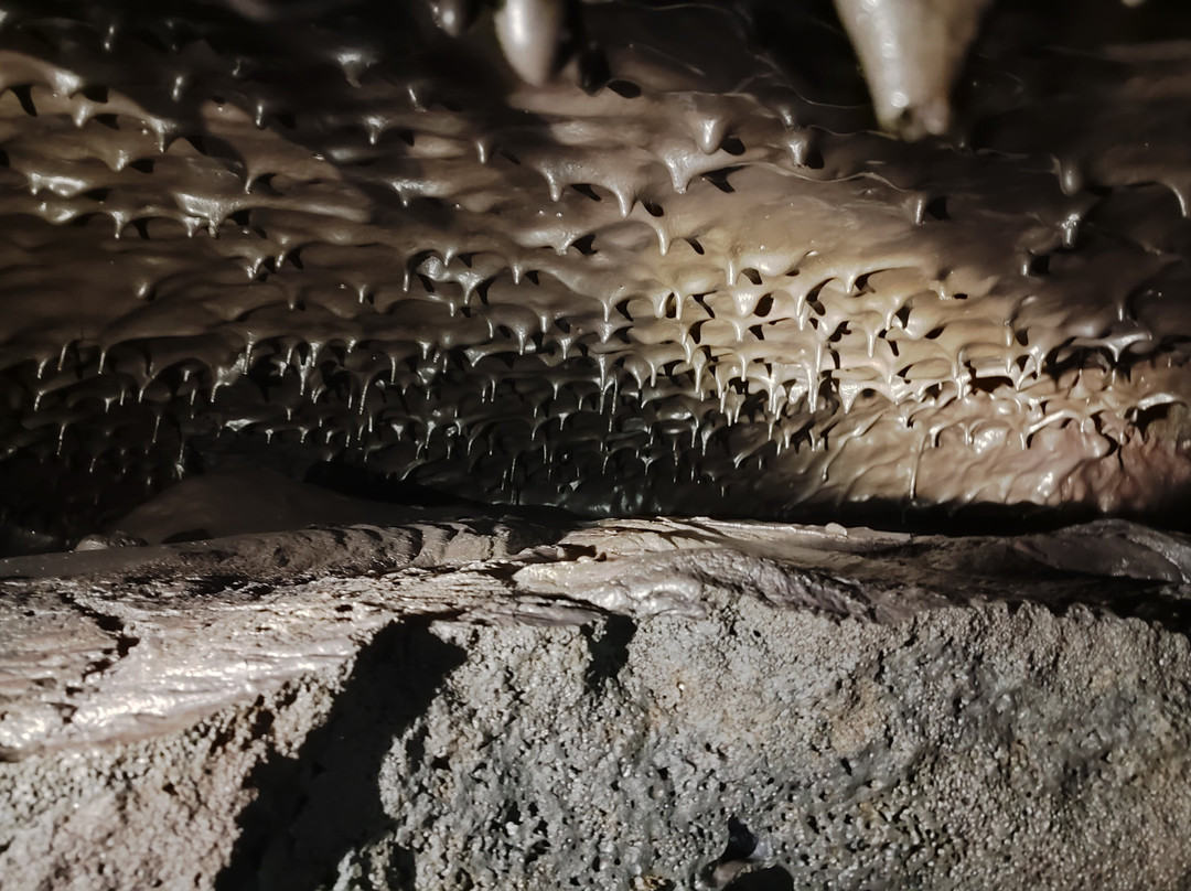Tunnels De Lave, Envergure Réunion景点图片